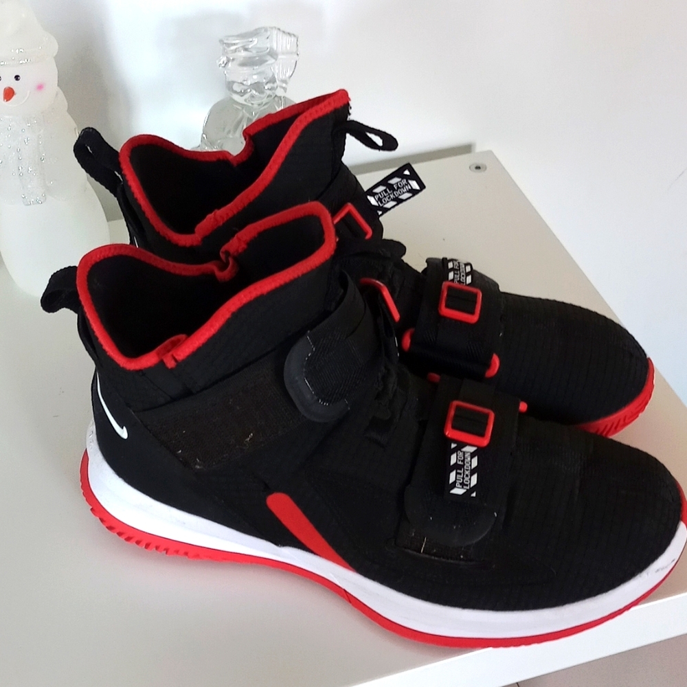Lebron James 13